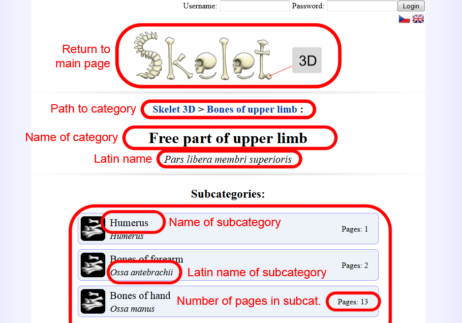 simple guide